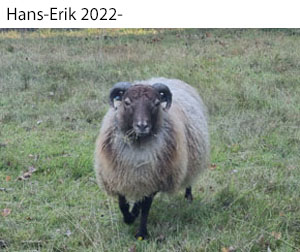 Hans-Erik 2022-x.jpg